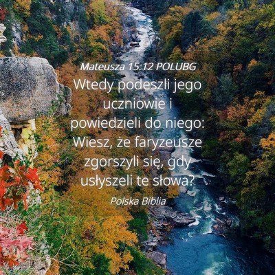 Picture 04 - Mateusza 15:12 POLUBG - Wtedy podeszli jego uczniowie i powiedzieli do - Bible Verse Picture