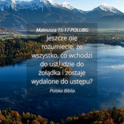 Picture 04 - Mateusza 15:17 POLUBG - Jeszcze nie rozumiecie, że wszystko, co wchodzi - Bible Verse Picture