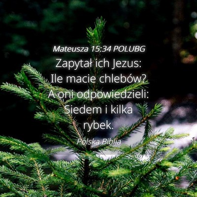 Picture 04 - Mateusza 15:34 POLUBG - Zapytał ich Jezus: Ile macie chlebów? A oni - Bible Verse Picture