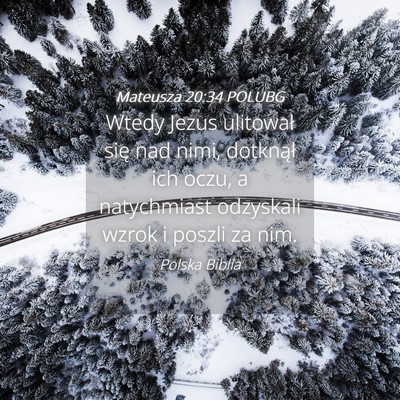 Picture 04 - Mateusza 20:34 POLUBG - Wtedy Jezus ulitował się nad nimi, dotknął - Bible Verse Picture
