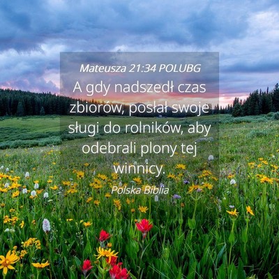 Picture 04 - Mateusza 21:34 POLUBG - A gdy nadszedł czas zbiorów, posłał swoje - Bible Verse Picture