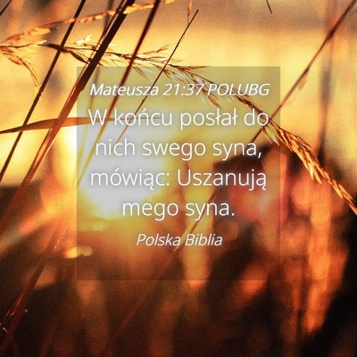 Picture 04 - Mateusza 21:37 POLUBG - W końcu posłał do nich swego syna, mówiąc: - Bible Verse Picture