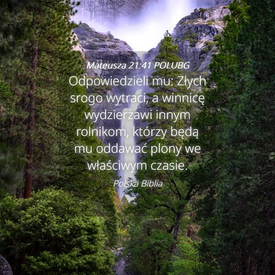 Picture 04 - Mateusza 21:41 POLUBG - Odpowiedzieli mu: Złych srogo wytraci, a - Bible Verse Picture
