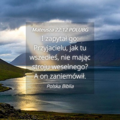 Picture 04 - Mateusza 22:12 POLUBG - I zapytał go: Przyjacielu, jak tu wszedłeś, - Bible Verse Picture