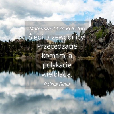 Picture 04 - Mateusza 23:24 POLUBG - Ślepi przewodnicy! Przecedzacie komara, a - Bible Verse Picture