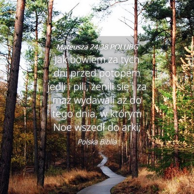 Picture 04 - Mateusza 24:38 POLUBG - Jak bowiem za tych dni przed potopem jedli i - Bible Verse Picture
