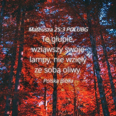 Picture 04 - Mateusza 25:3 POLUBG - Te głupie, wziąwszy swoje lampy, nie wzięły - Bible Verse Picture