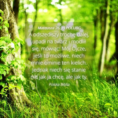 Picture 04 - Mateusza 26:39 POLUBG - A odszedłszy trochę dalej, upadł na twarz i - Bible Verse Picture