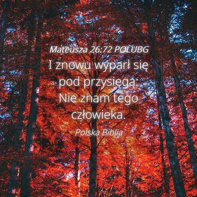 Picture 04 - Mateusza 26:72 POLUBG - I znowu wyparł się pod przysięgą: Nie znam - Bible Verse Picture