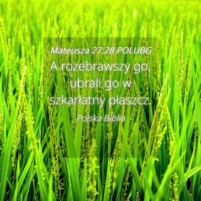 Picture 04 - Mateusza 27:28 POLUBG - A rozebrawszy go, ubrali go w szkarłatny - Bible Verse Picture