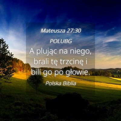 Picture 04 - Mateusza 27:30 POLUBG - A plując na niego, brali tę trzcinę i bili go - Bible Verse Picture