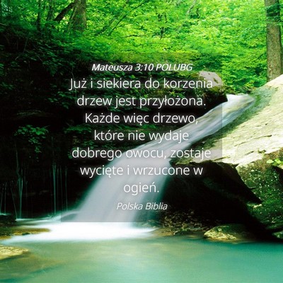 Picture 04 - Mateusza 3:10 POLUBG - Już i siekiera do korzenia drzew jest - Bible Verse Picture