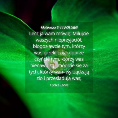 Picture 04 - Mateusza 5:44 POLUBG - Lecz ja wam mówię: Miłujcie waszych - Bible Verse Picture