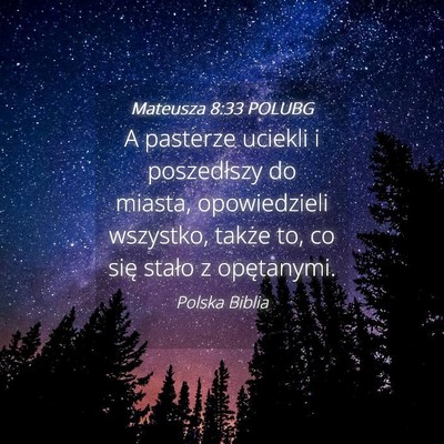 Picture 04 - Mateusza 8:33 POLUBG - A pasterze uciekli i poszedłszy do miasta, - Bible Verse Picture
