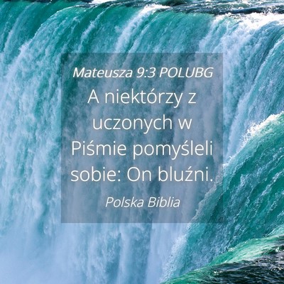 Picture 04 - Mateusza 9:3 POLUBG - A niektórzy z uczonych w Piśmie pomyśleli - Bible Verse Picture