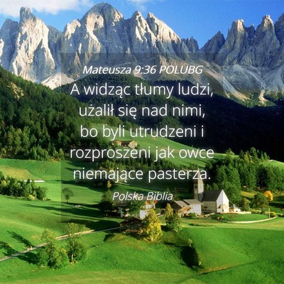 Picture 04 - Mateusza 9:36 POLUBG - A widząc tłumy ludzi, użalił się nad nimi, - Bible Verse Picture