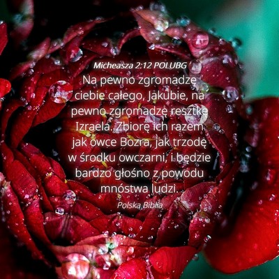 Picture 04 - Micheasza 2:12 POLUBG - Na pewno zgromadzę ciebie całego, Jakubie, na - Bible Verse Picture