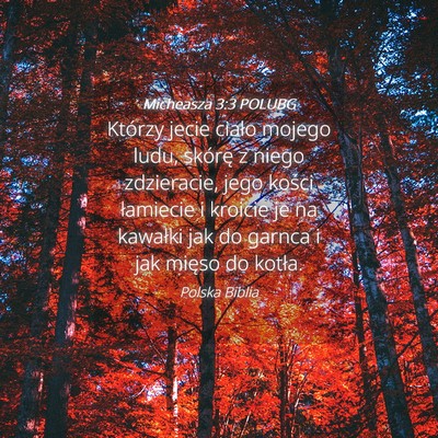 Picture 04 - Micheasza 3:3 POLUBG - Którzy jecie ciało mojego ludu, skórę z niego - Bible Verse Picture