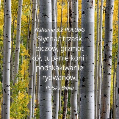Picture 04 - Nahuma 3:2 POLUBG - Słychać trzask biczów, grzmot kół, tupanie - Bible Verse Picture