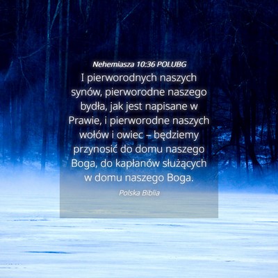 Picture 04 - Nehemiasza 10:36 POLUBG - I pierworodnych naszych synów, pierworodne - Bible Verse Picture