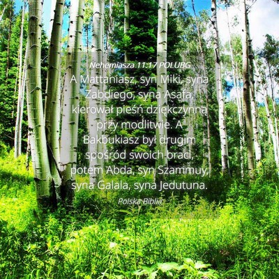 Picture 04 - Nehemiasza 11:17 POLUBG - A Mattaniasz, syn Miki, syna Zabdiego, syna - Bible Verse Picture
