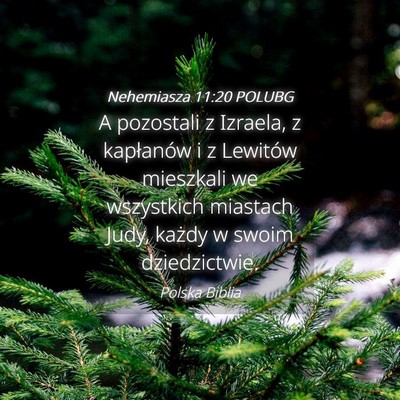 Picture 04 - Nehemiasza 11:20 POLUBG - A pozostali z Izraela, z kapłanów i z Lewitów - Bible Verse Picture
