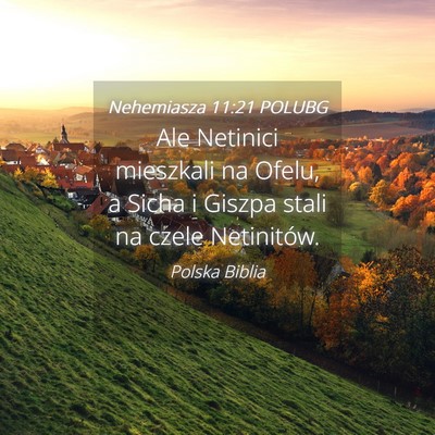 Picture 04 - Nehemiasza 11:21 POLUBG - Ale Netinici mieszkali na Ofelu, a Sicha i Giszpa - Bible Verse Picture