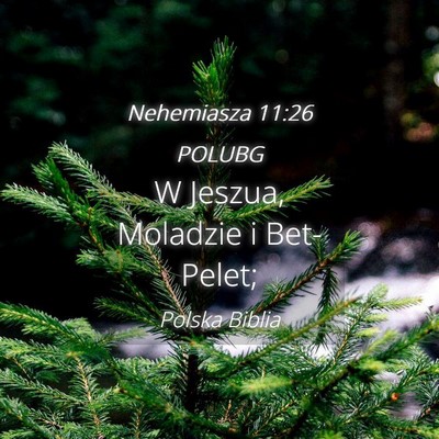 Picture 04 - Nehemiasza 11:26 POLUBG - W Jeszua, Moladzie i - Bible Verse Picture