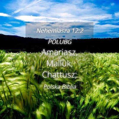 Picture 04 - Nehemiasza 12:2 POLUBG - Amariasz, Malluk, - Bible Verse Picture