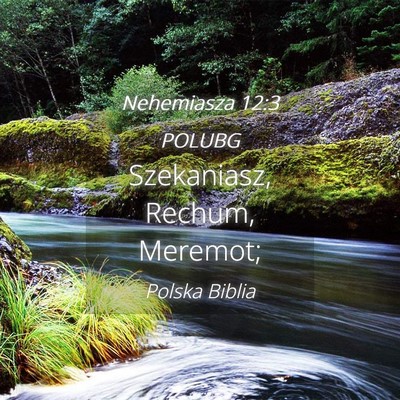 Picture 04 - Nehemiasza 12:3 POLUBG - Szekaniasz, Rechum, - Bible Verse Picture
