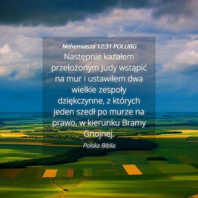 Picture 04 - Nehemiasza 12:31 POLUBG - Następnie kazałem przełożonym Judy wstąpić - Bible Verse Picture