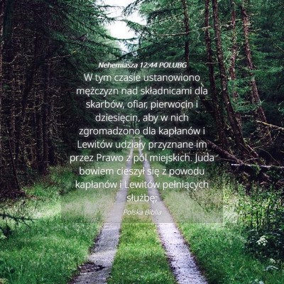 Picture 04 - Nehemiasza 12:44 POLUBG - W tym czasie ustanowiono mężczyzn nad - Bible Verse Picture