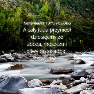 Picture 04 - Nehemiasza 13:12 POLUBG - A cały Juda przyniósł dziesięciny ze zboża, - Bible Verse Picture
