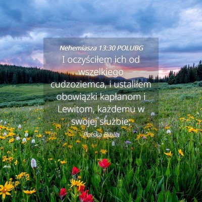 Picture 04 - Nehemiasza 13:30 POLUBG - I oczyściłem ich od wszelkiego cudzoziemca, i - Bible Verse Picture