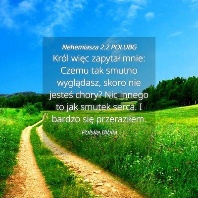 Picture 04 - Nehemiasza 2:2 POLUBG - Król więc zapytał mnie: Czemu tak smutno - Bible Verse Picture