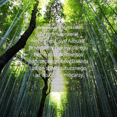 Picture 04 - Nehemiasza 3:16 POLUBG - Za nim naprawiał Nehemiasz, syn Azbuka, - Bible Verse Picture