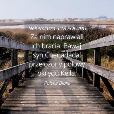 Picture 04 - Nehemiasza 3:18 POLUBG - Za nim naprawiali ich bracia: Bawaj, syn - Bible Verse Picture
