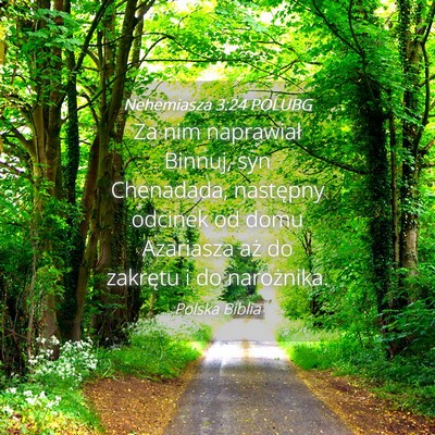 Picture 04 - Nehemiasza 3:24 POLUBG - Za nim naprawiał Binnuj, syn Chenadada, - Bible Verse Picture