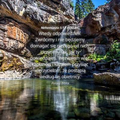 Picture 04 - Nehemiasza 5:12 POLUBG - Wtedy odpowiedzieli: Zwrócimy i nie będziemy - Bible Verse Picture