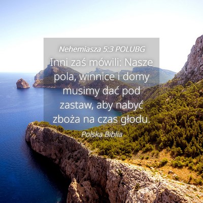 Picture 04 - Nehemiasza 5:3 POLUBG - Inni zaś mówili: Nasze pola, winnice i domy - Bible Verse Picture