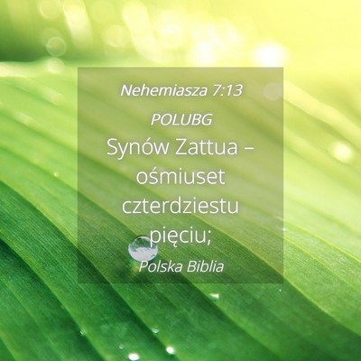 Picture 04 - Nehemiasza 7:13 POLUBG - Synów Zattua – ośmiuset czterdziestu - Bible Verse Picture