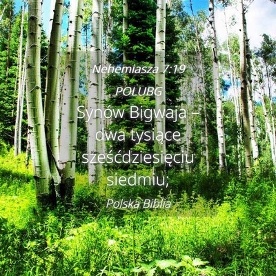 Picture 04 - Nehemiasza 7:19 POLUBG - Synów Bigwaja – dwa tysiące - Bible Verse Picture