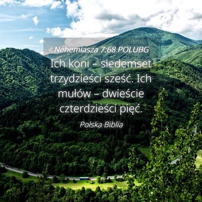 Picture 04 - Nehemiasza 7:68 POLUBG - Ich koni – siedemset trzydzieści sześć. Ich - Bible Verse Picture