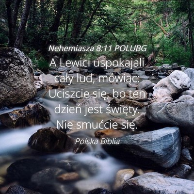 Picture 04 - Nehemiasza 8:11 POLUBG - A Lewici uspokajali cały lud, mówiąc: Uciszcie - Bible Verse Picture