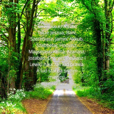 Picture 04 - Nehemiasza 8:7 POLUBG - Także Jeszua, Bani, Szerebiasz, Jamin, Akkub, - Bible Verse Picture
