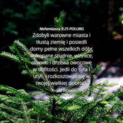 Picture 04 - Nehemiasza 9:25 POLUBG - Zdobyli warowne miasta i tłustą ziemię i - Bible Verse Picture
