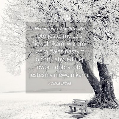 Picture 04 - Nehemiasza 9:36 POLUBG - Oto jesteśmy dziś niewolnikami w ziemi, którą - Bible Verse Picture