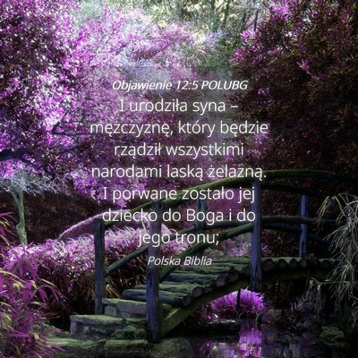 Picture 04 - Objawienie 12:5 POLUBG - I urodziła syna – mężczyznę, który będzie - Bible Verse Picture