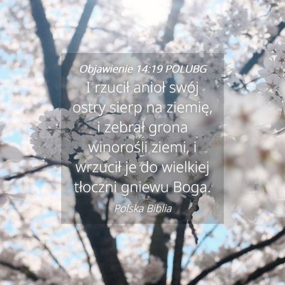 Picture 04 - Objawienie 14:19 POLUBG - I rzucił anioł swój ostry sierp na ziemię, i - Bible Verse Picture