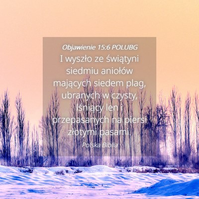 Picture 04 - Objawienie 15:6 POLUBG - I wyszło ze świątyni siedmiu aniołów - Bible Verse Picture